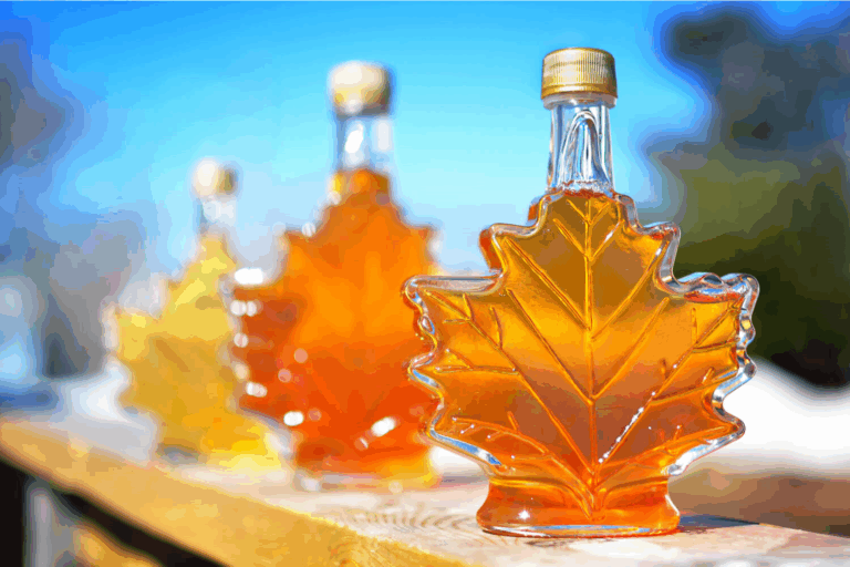 Ontario Maple Syrup Season in the Haliburton Highlands