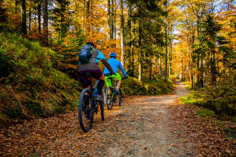 Explore Ontario Bike Trails near Haliburton