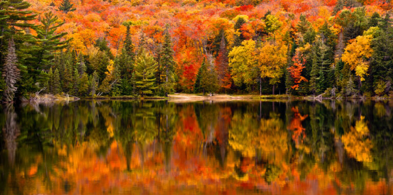 Fall Foliage in Ontario: Haliburton Highlands Hiking Areas