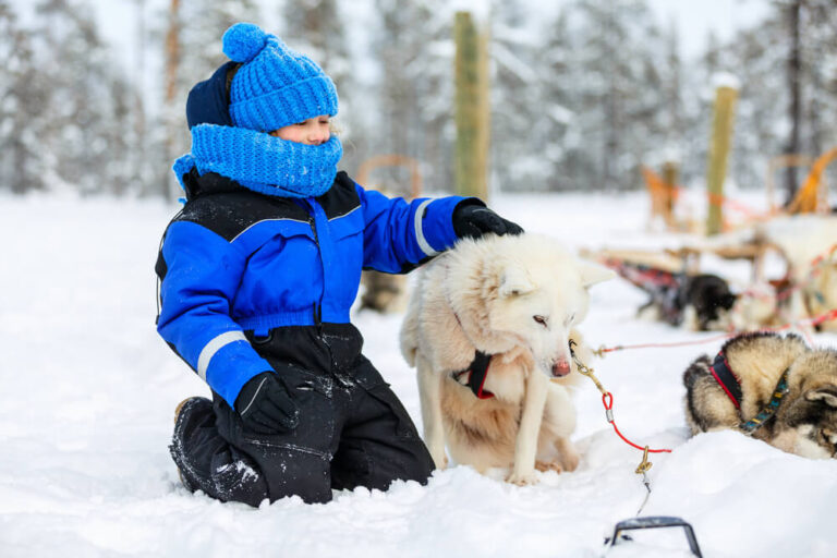 Fun Winter Activities for Kids in Haliburton