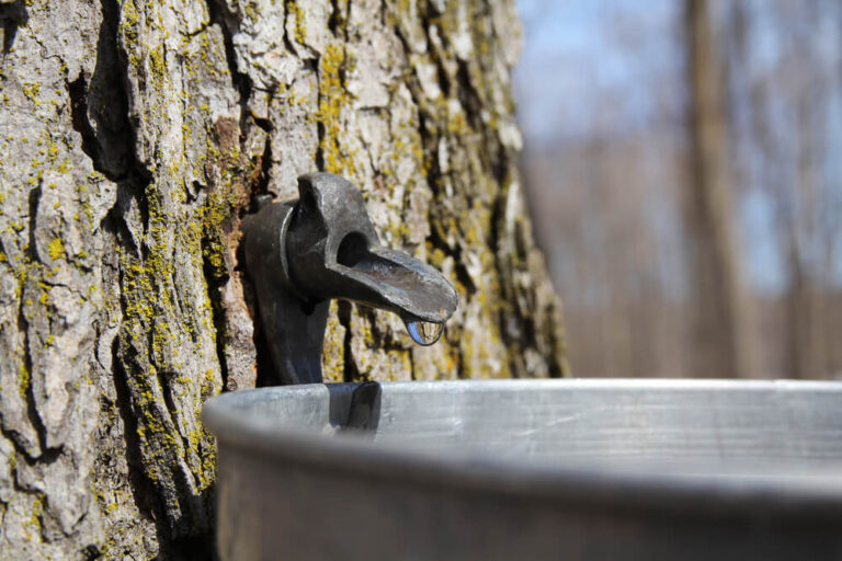What to Do During Spring in Ontario's Haliburton Highlands