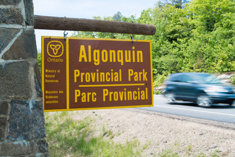 5 Ontario Day Trips from Your Haliburton Highlands Cabin