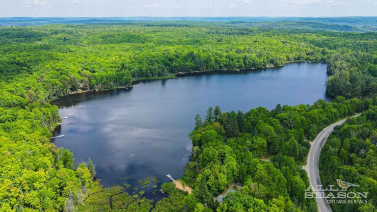 Aerial view of a scenic canoe lake in Ontario's Haliburton Highlands